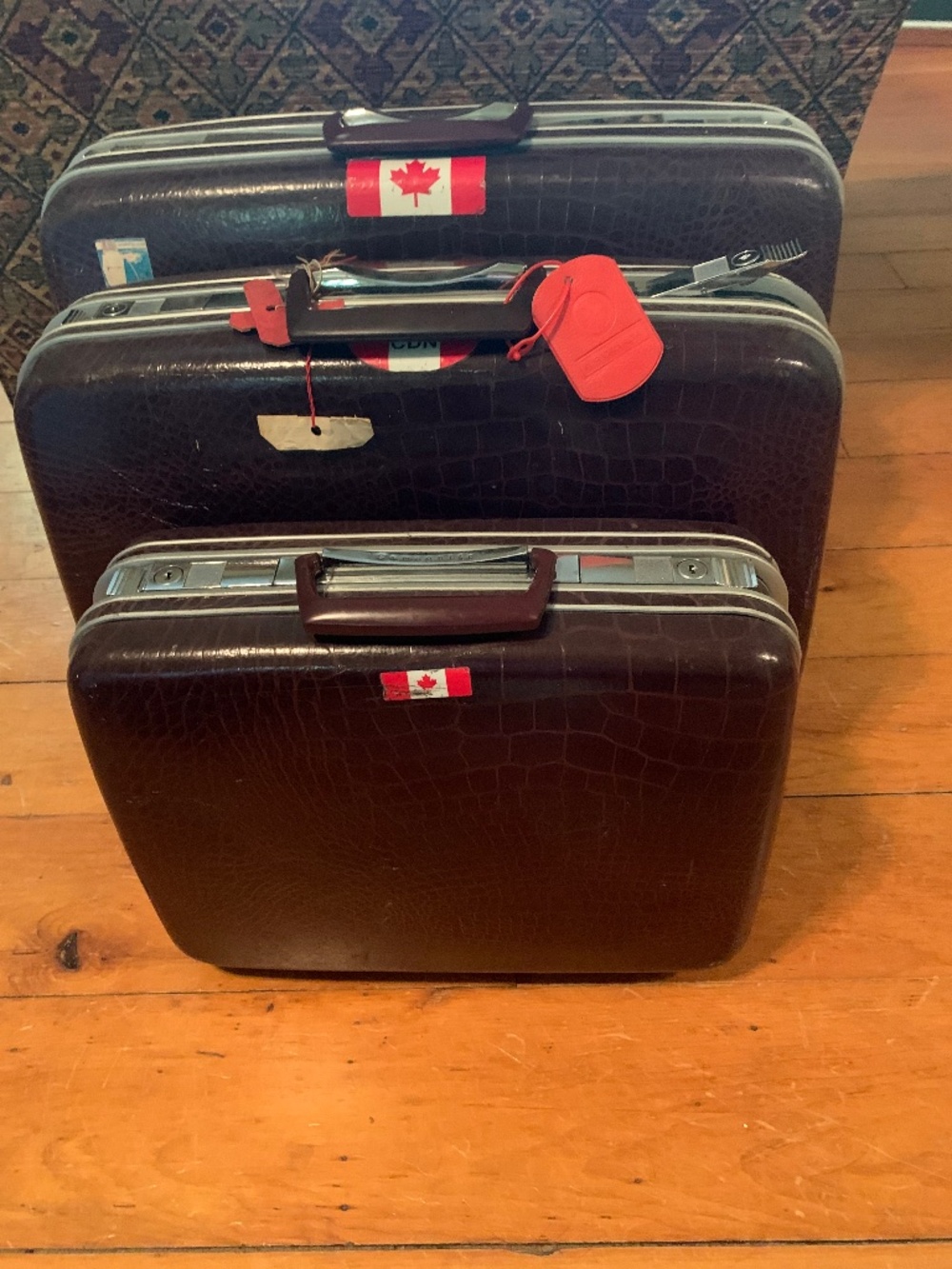 Vintage Luggage set